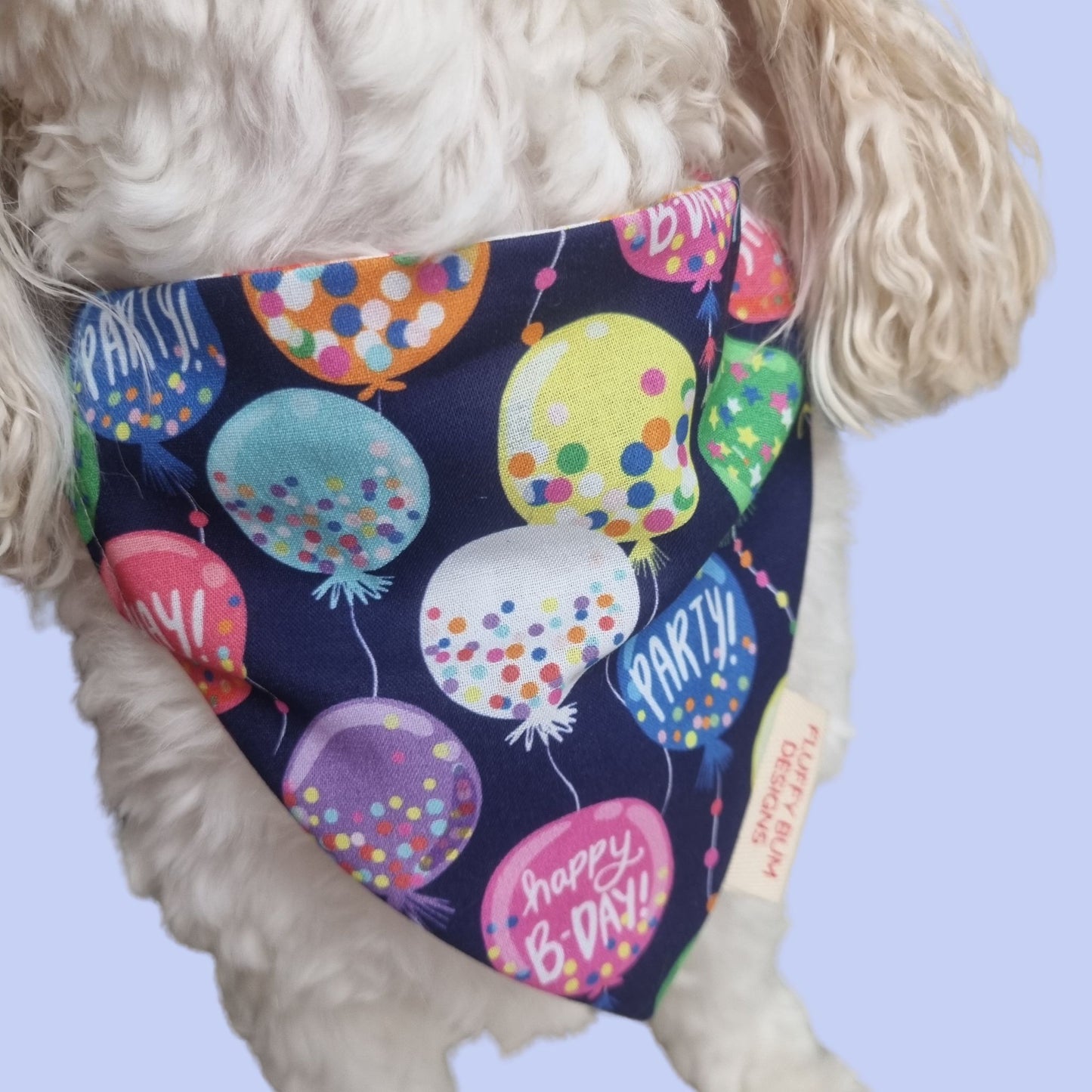 Balloon Design Bandana on Dog