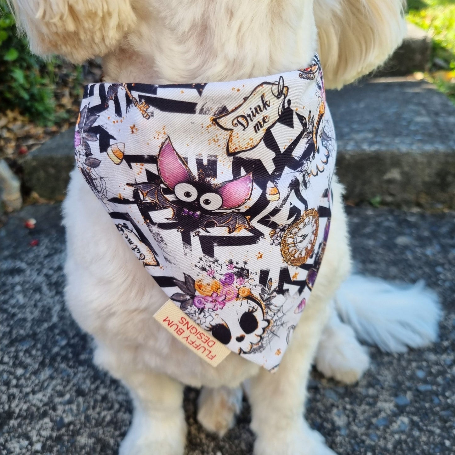 Dog wearing a bandana with a alice in wonderland inspired design