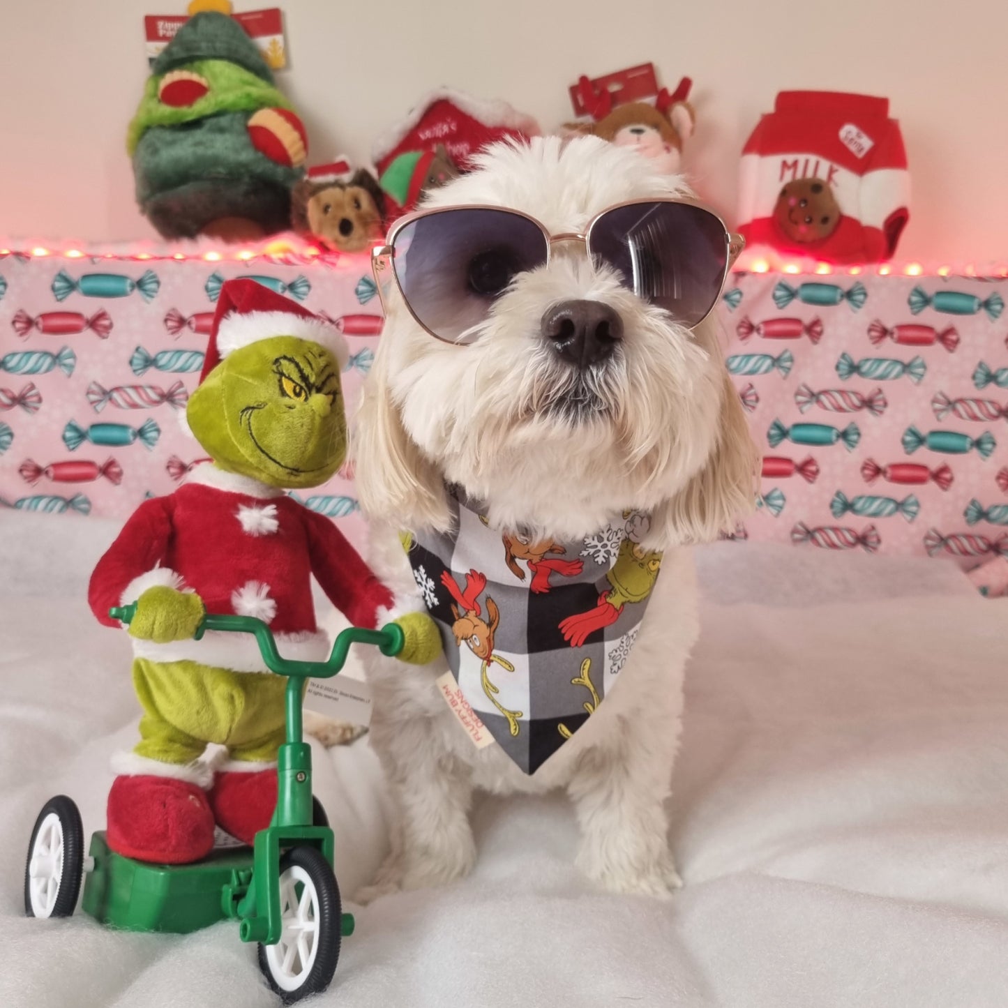 Dog wearing Grinch themed bandana