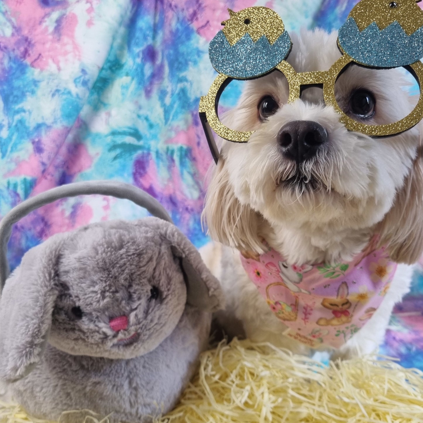 Dog Wearing Pink Bunnies Easter Bandana - Small