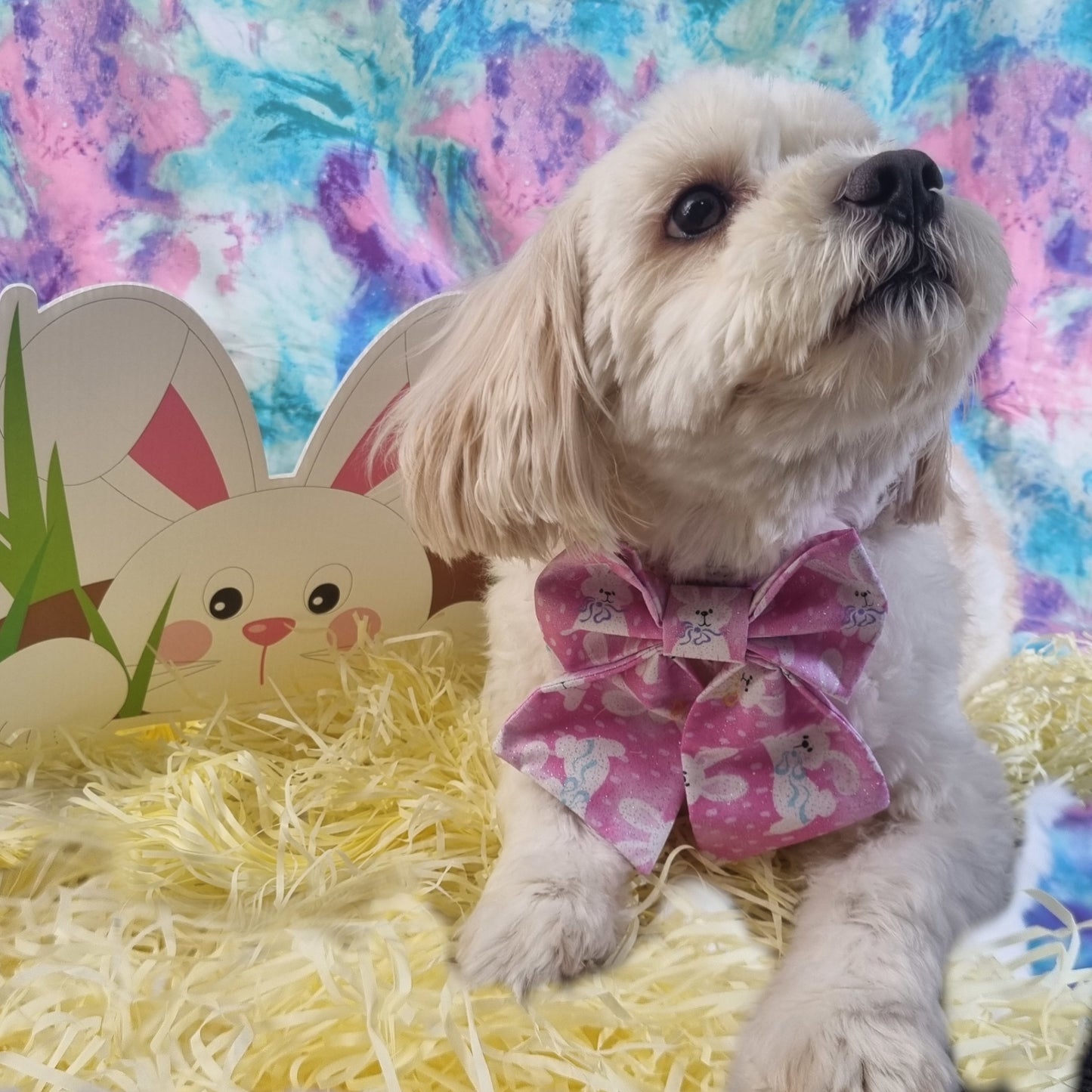 Dog wearing pink glitter bunny sailor bowtie - medium