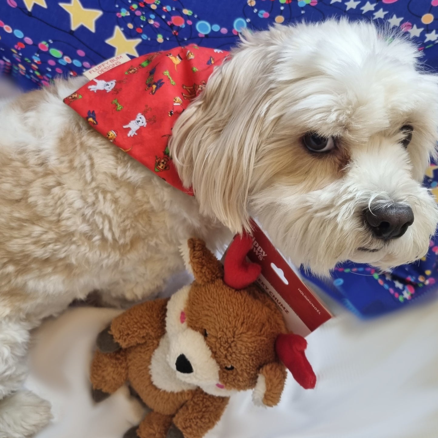 Pet Bandana | Fluffy Christmas Cuties