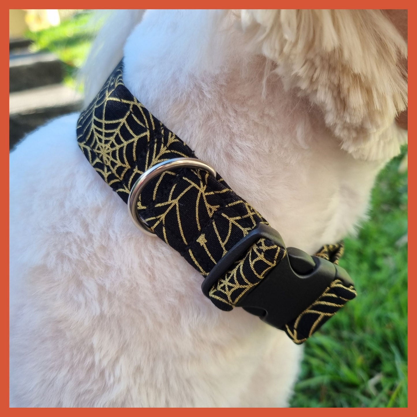 Dog wearing collar with black and gold spider web pattern - size medium