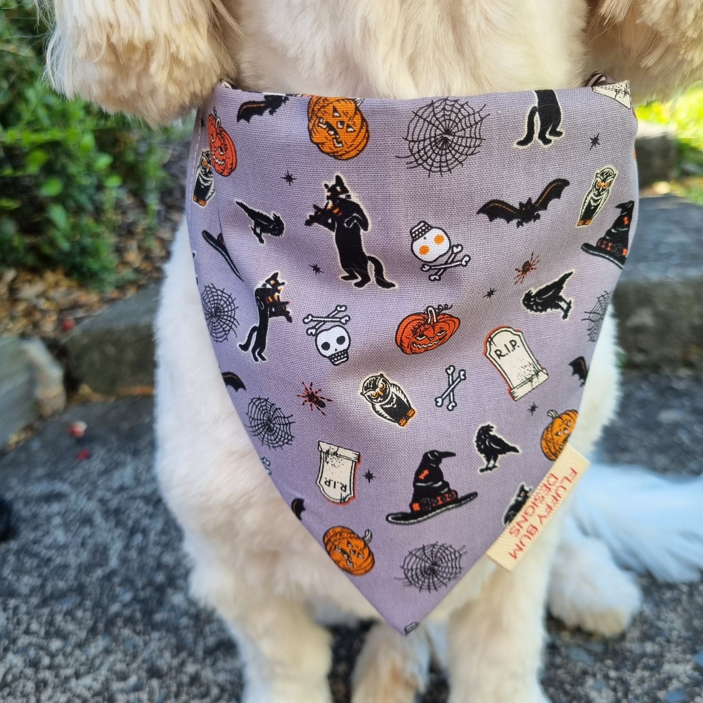 Dog wearing a Halloween-themed bandana with pumpkins, cats, and ghosts.