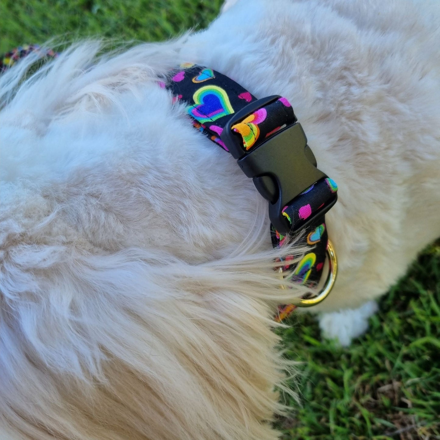 Dog Collar | Love Hearts