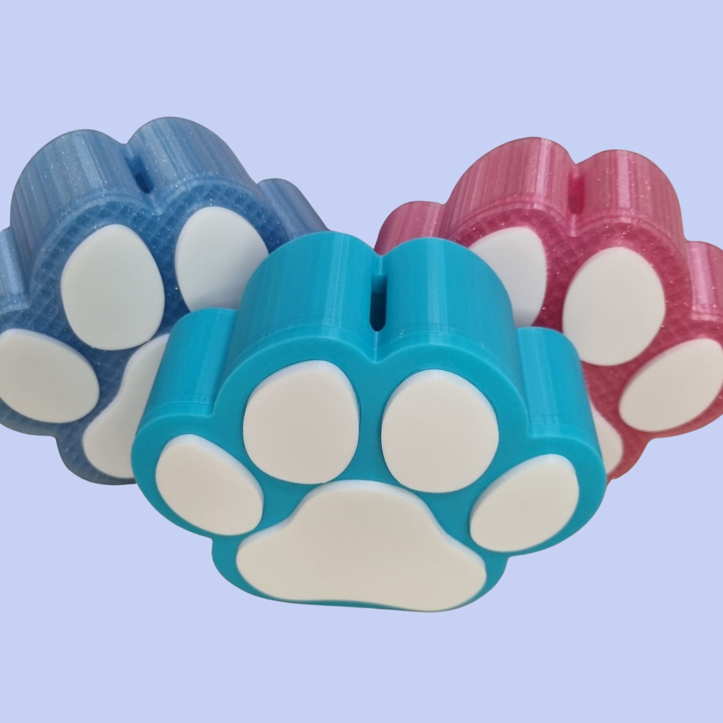 Paw Print Money Box - Three Colours