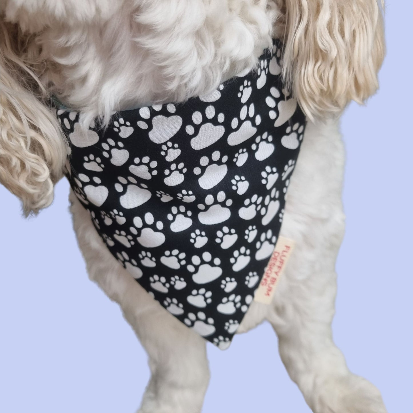 Paw Prints Design Bandana on Dog