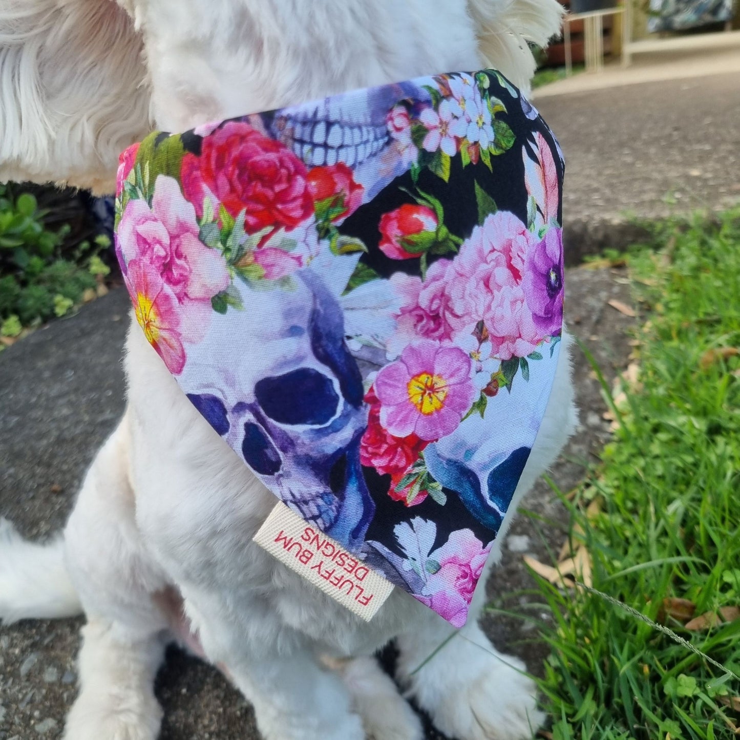Flowers & Skulls Small Pet Bandana on Dog