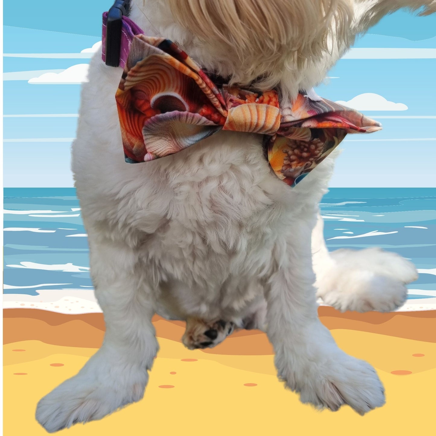 Close up of dog wearing seashells bowtie