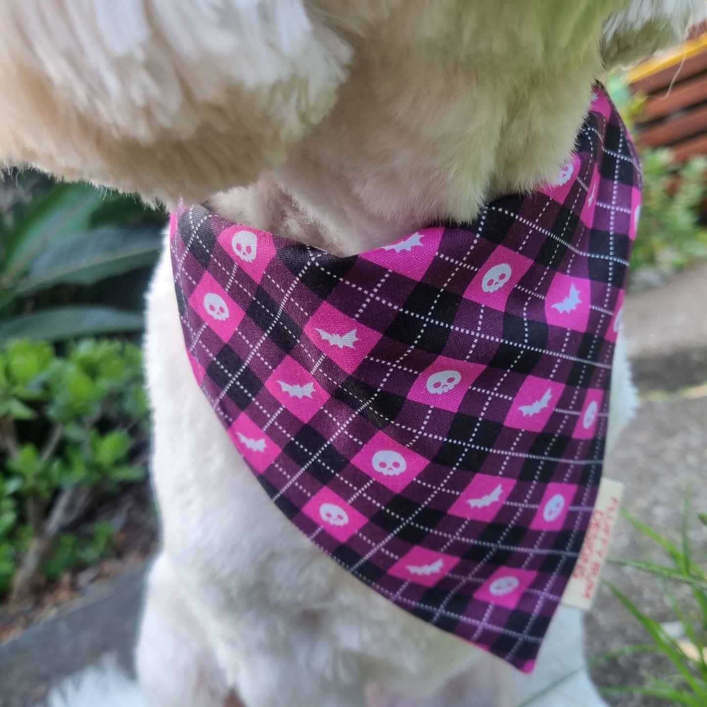 Dog wearing a purple and pink checkered bandana with Halloween-themed patterns.