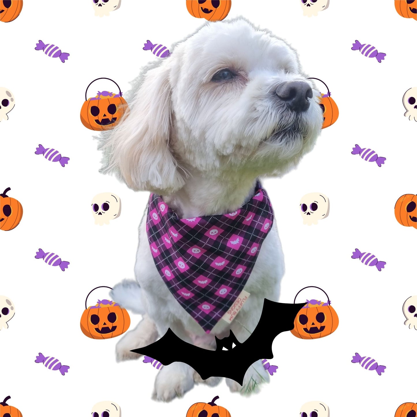 White dog wearing a purple bandana with Halloween-themed background