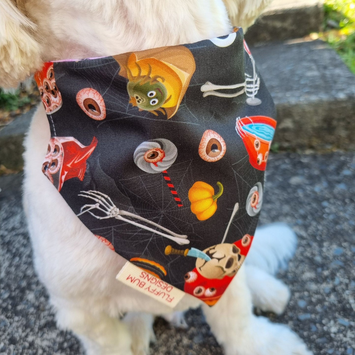Dog wearing a Halloween-themed bandana with various spooky designs.
