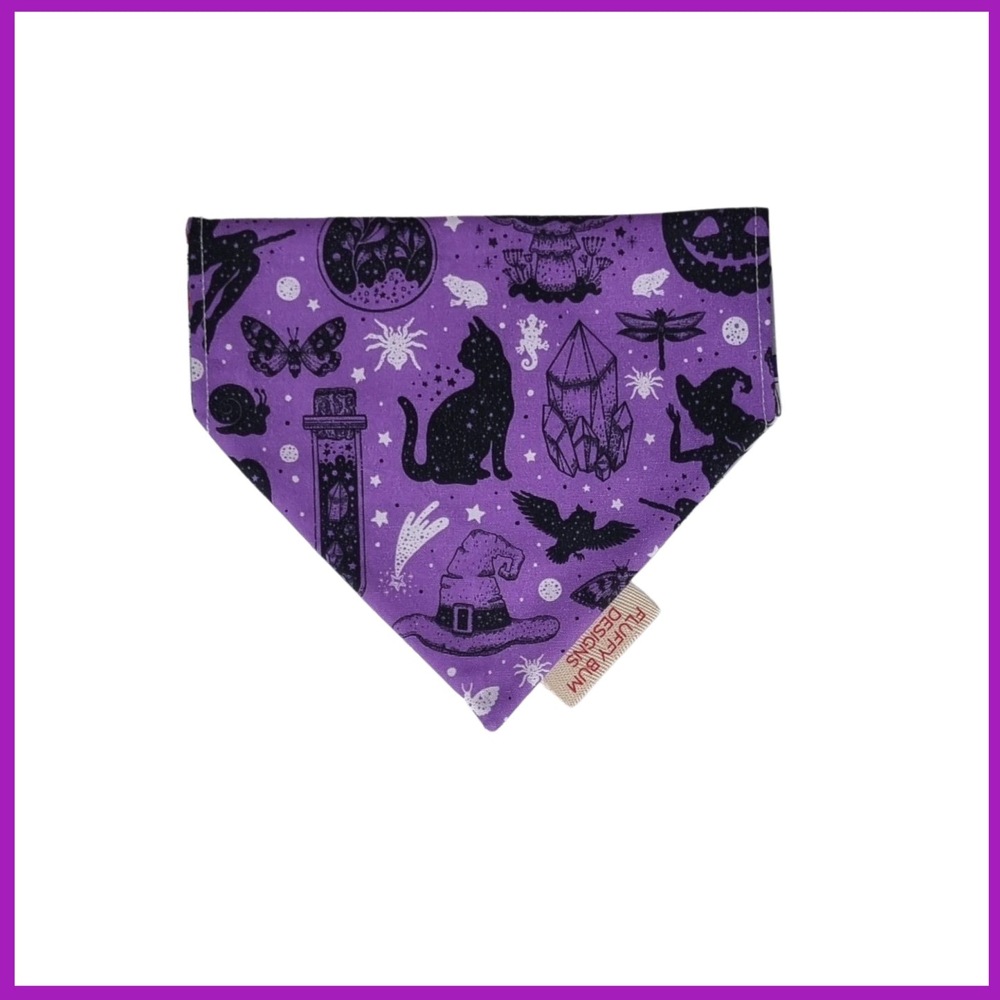 Pet Bandana - Spooky Potions Design