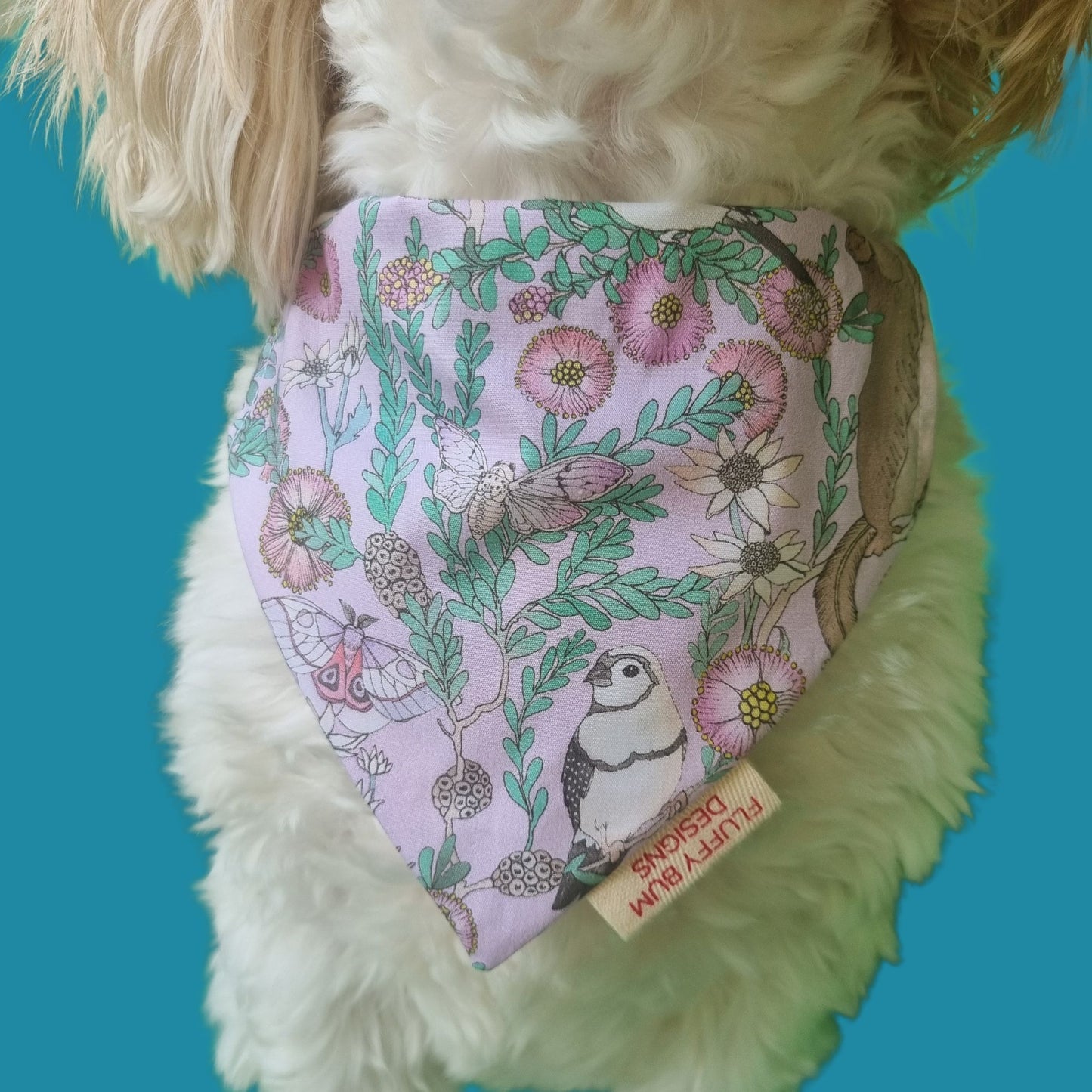 Pet Bandana | Colourful Wildlife