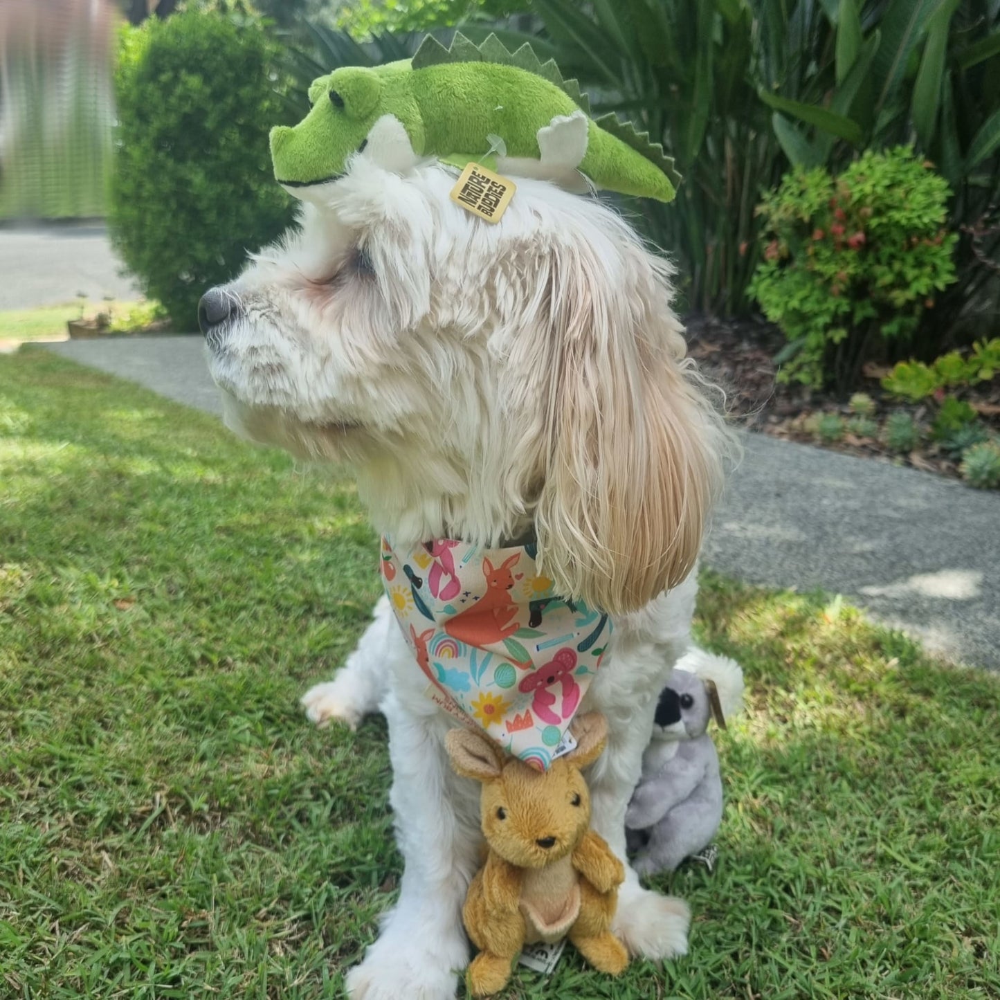 Colourful Aussie Animal Pet Bandana on White Dog with Aussie Plush Animals