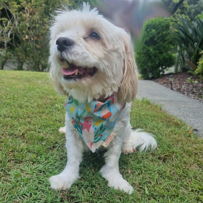 Colourful Aussie Galah and Fauna Pet Bandana on White Fluffy Dog