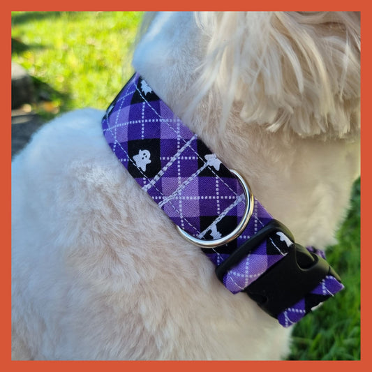 Dog wearing a purple plaid halloween themed collar background  - size medium