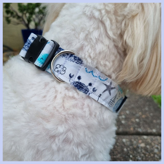 Beach Themed Collar on Dog