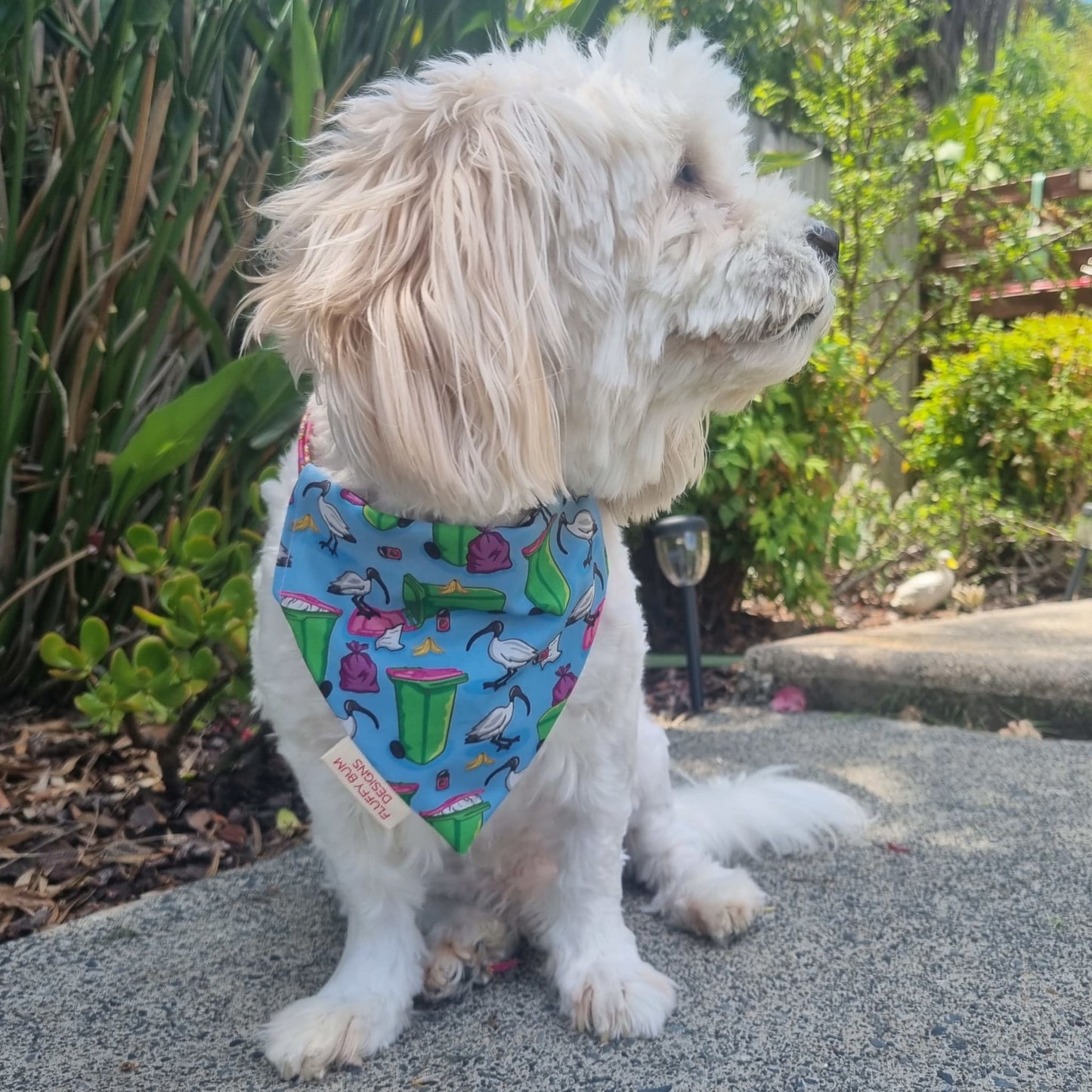 Bin Chicken Pet Bandana on White Fluffy Dog