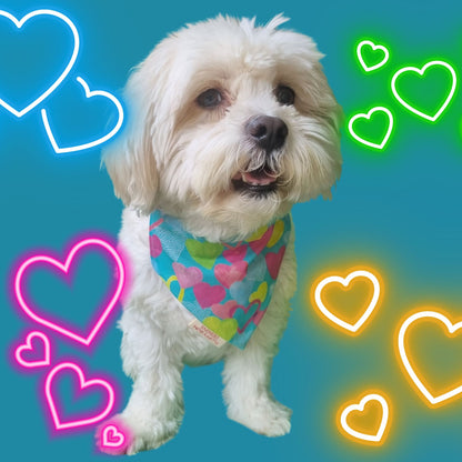 Pet Bandana | Blue Love 'dana