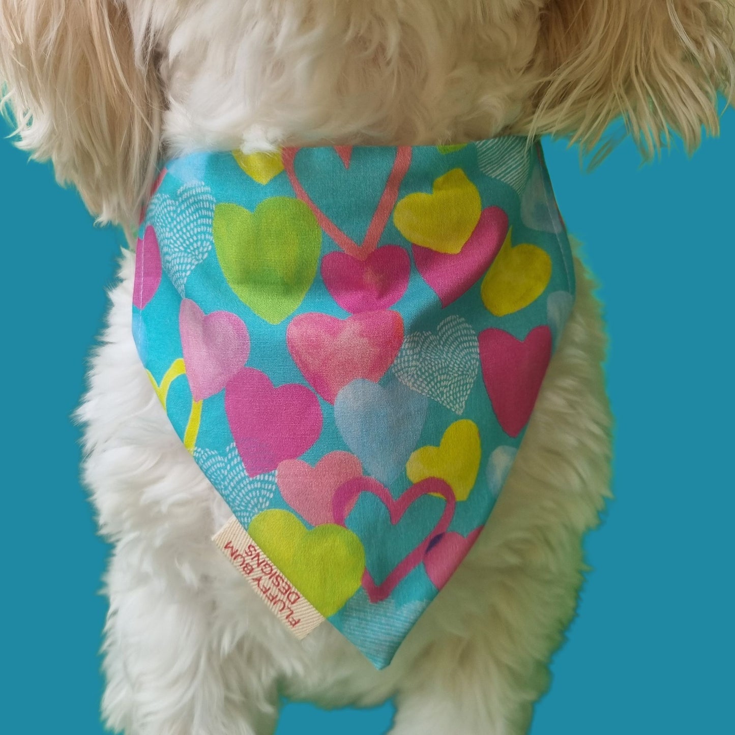 Pet Bandana | Blue Love 'dana