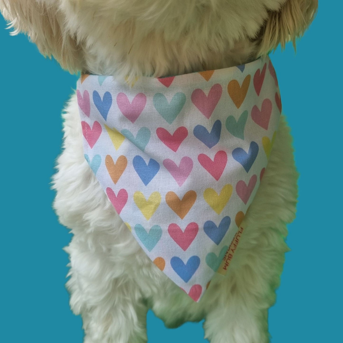 Pet Bandana | Blue Love 'dana