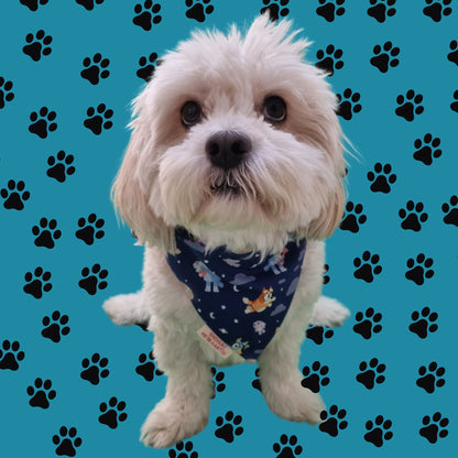 Pet Bandana | Aussie Icon - Bluey