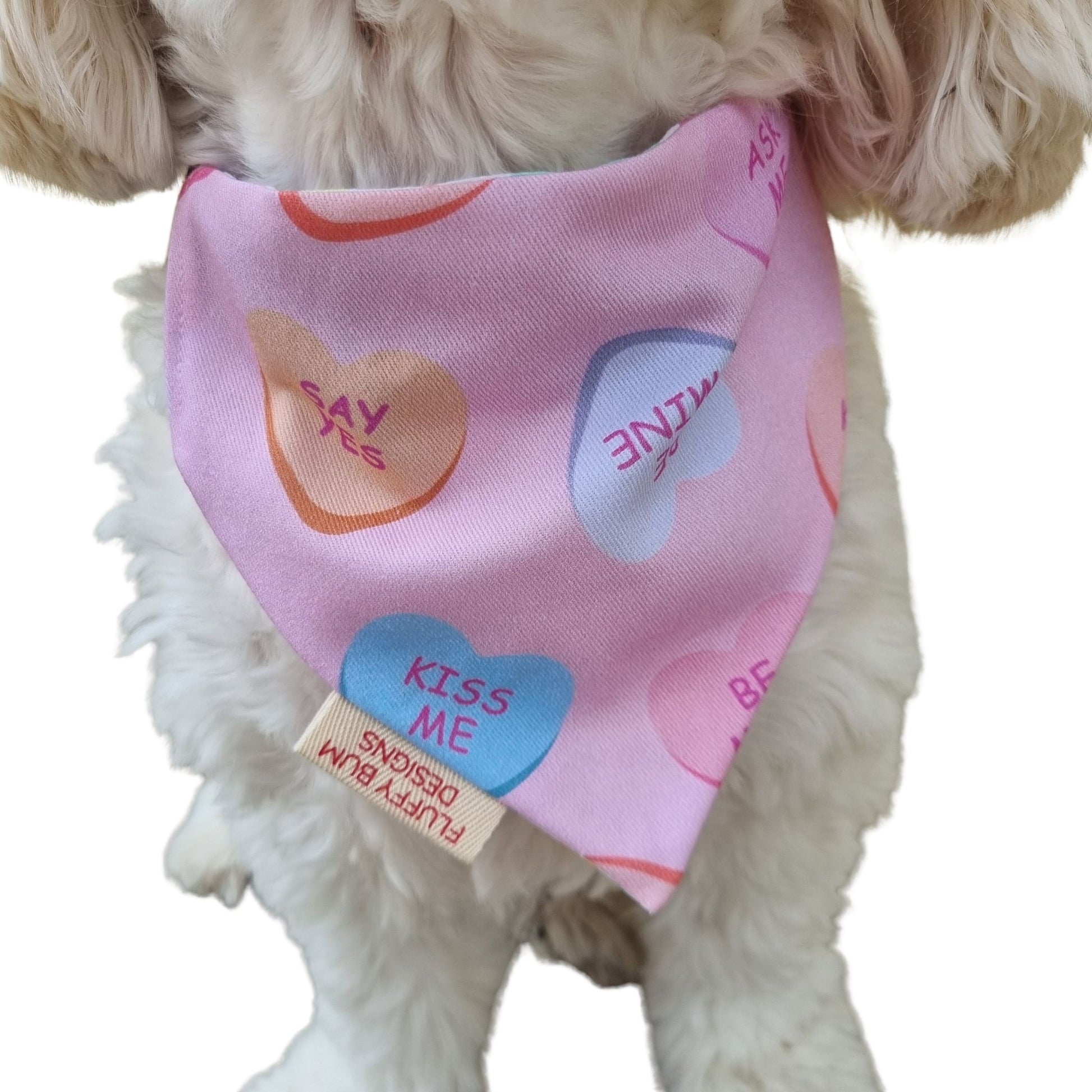Candy Hearts Bandana Close Up around dogs neck