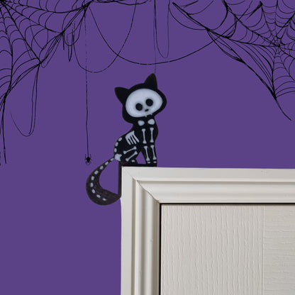 Cat Skeleton on Door