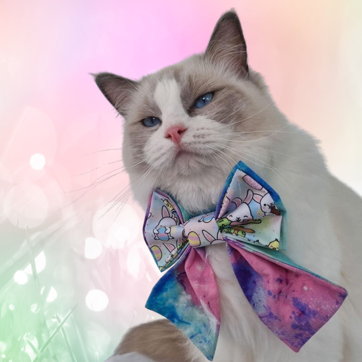 Cat wearing easter themed sailor bowtie