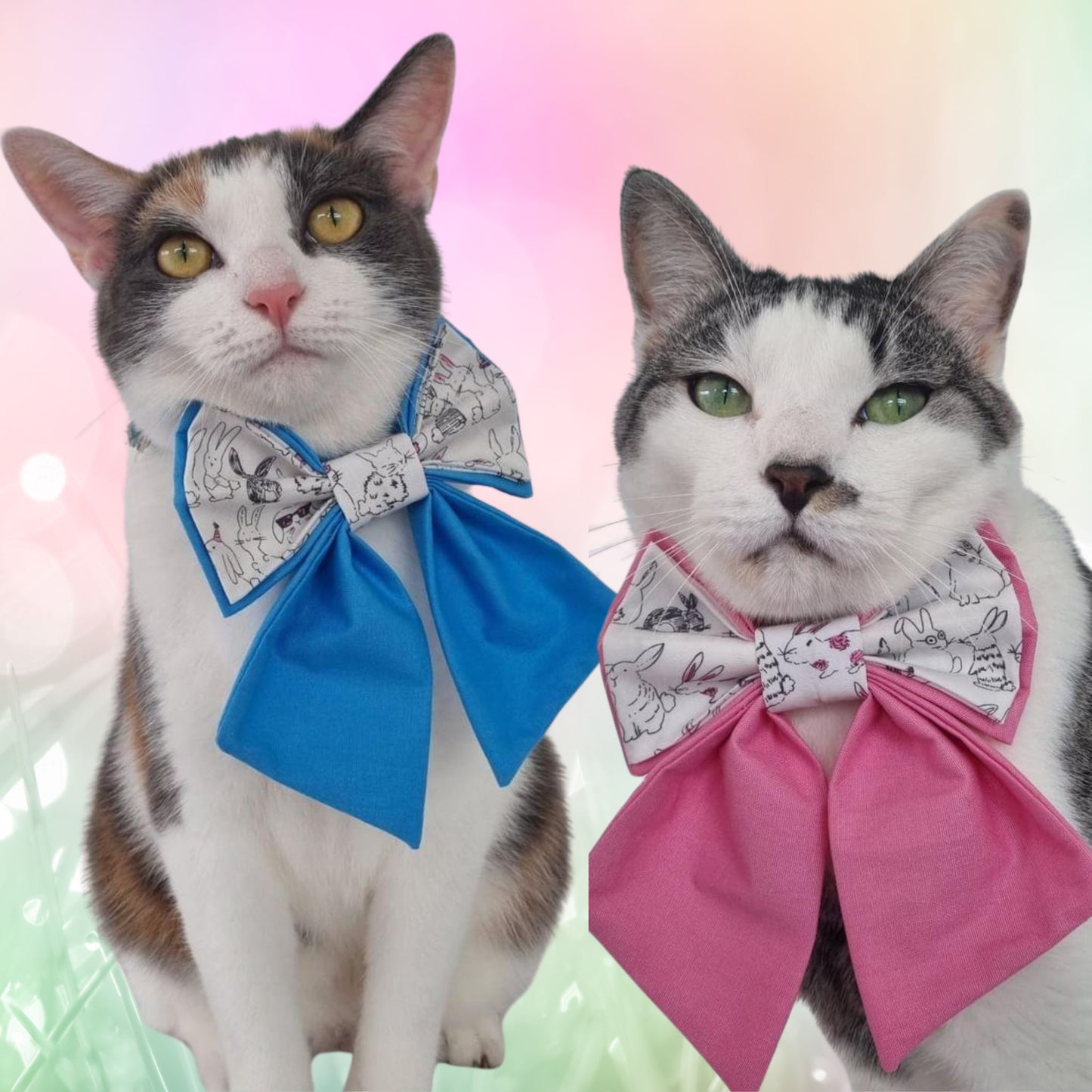 two cats wearing pink and blue easter themed bowties