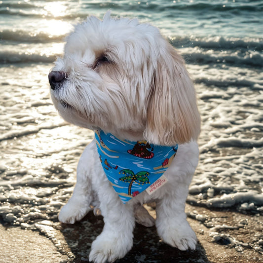 Dog Wearing Christmas Chill Bandana by the Ocean
