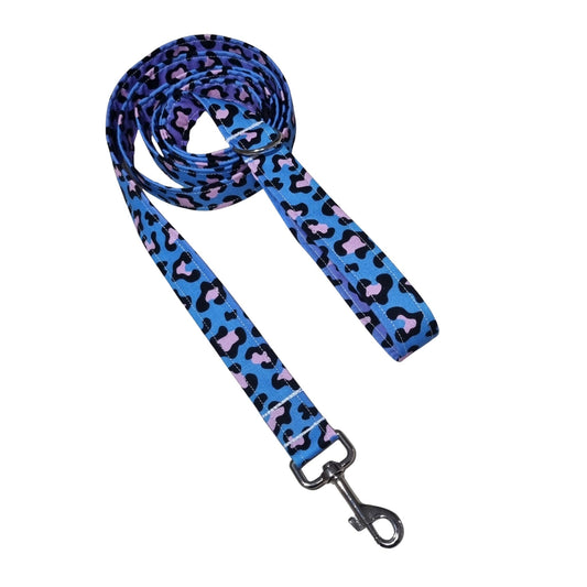 Dog Leash | Rainbow Leopard