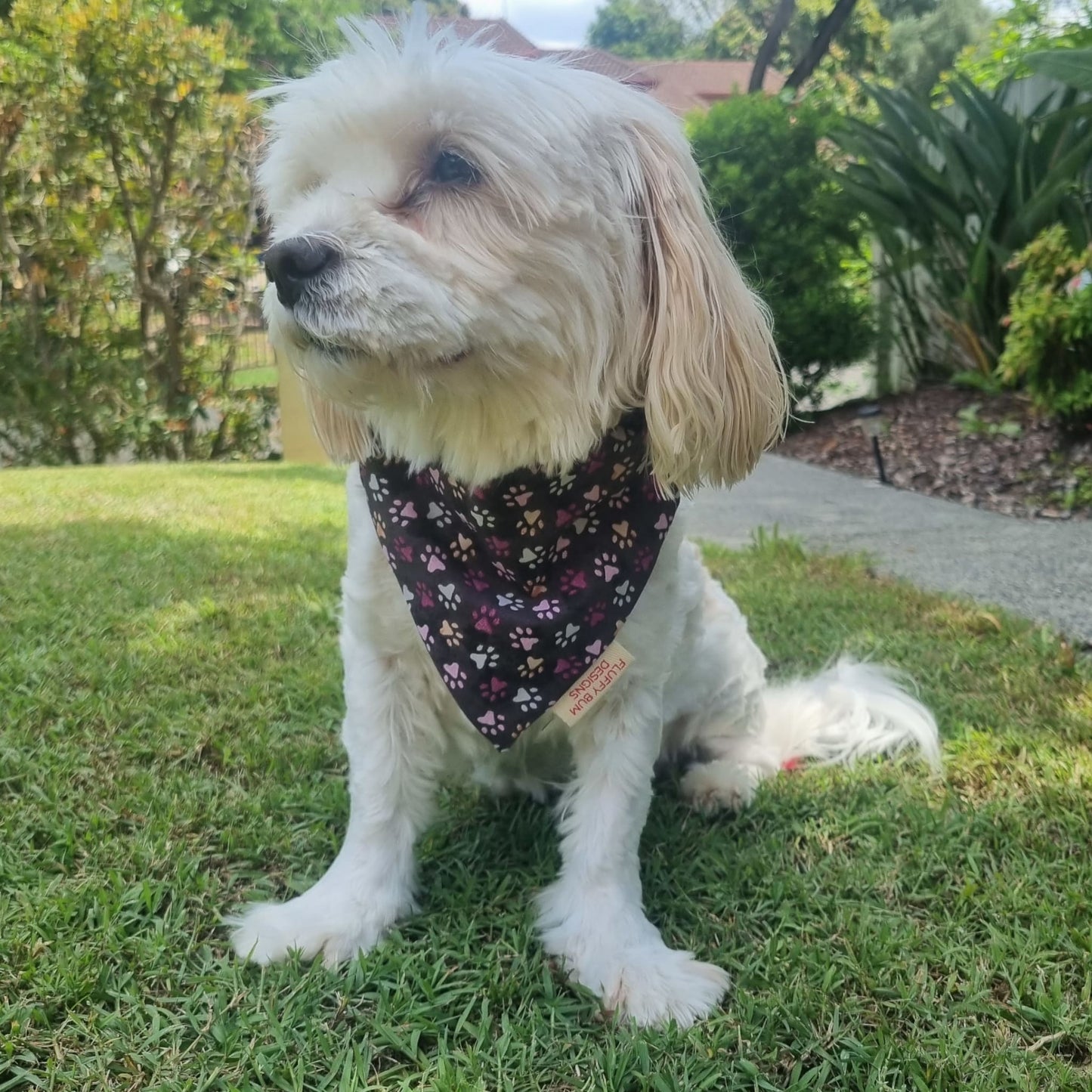 Colourful Paw Prints Pet Bandana on White Fluffy Dog