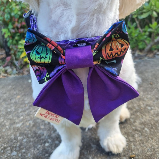 Dog wearing a Halloween-themed bow tie with pumpkins and purple accents