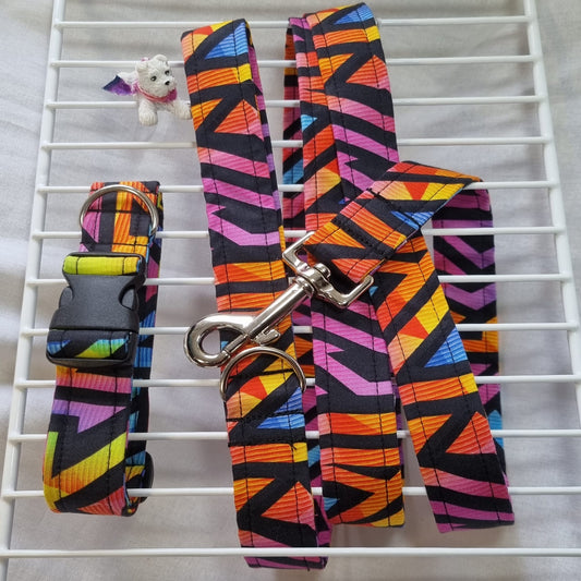 Abstract Colours Dog Leash & Collar