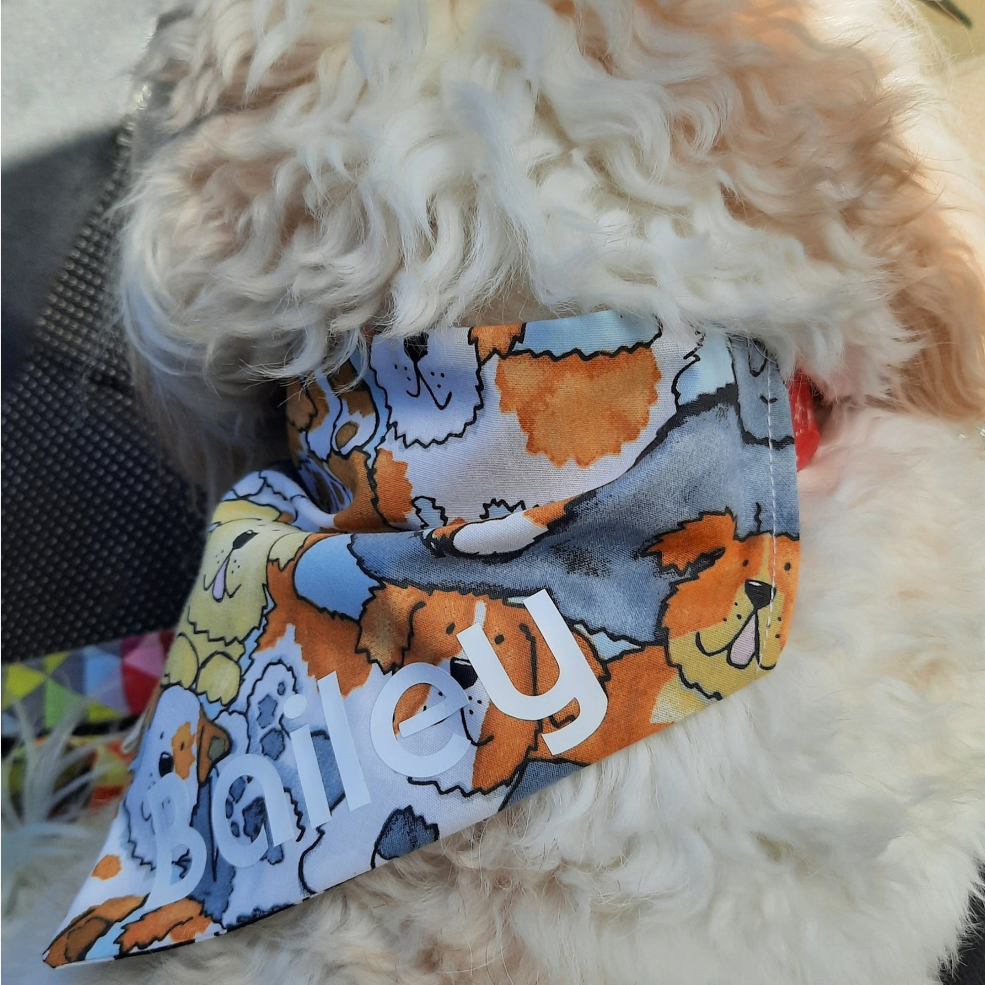 Dog wearing personalised named bandana