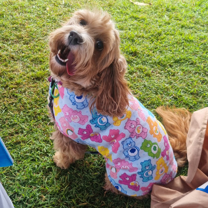 Dog Coat | Care Bears & Sunshine