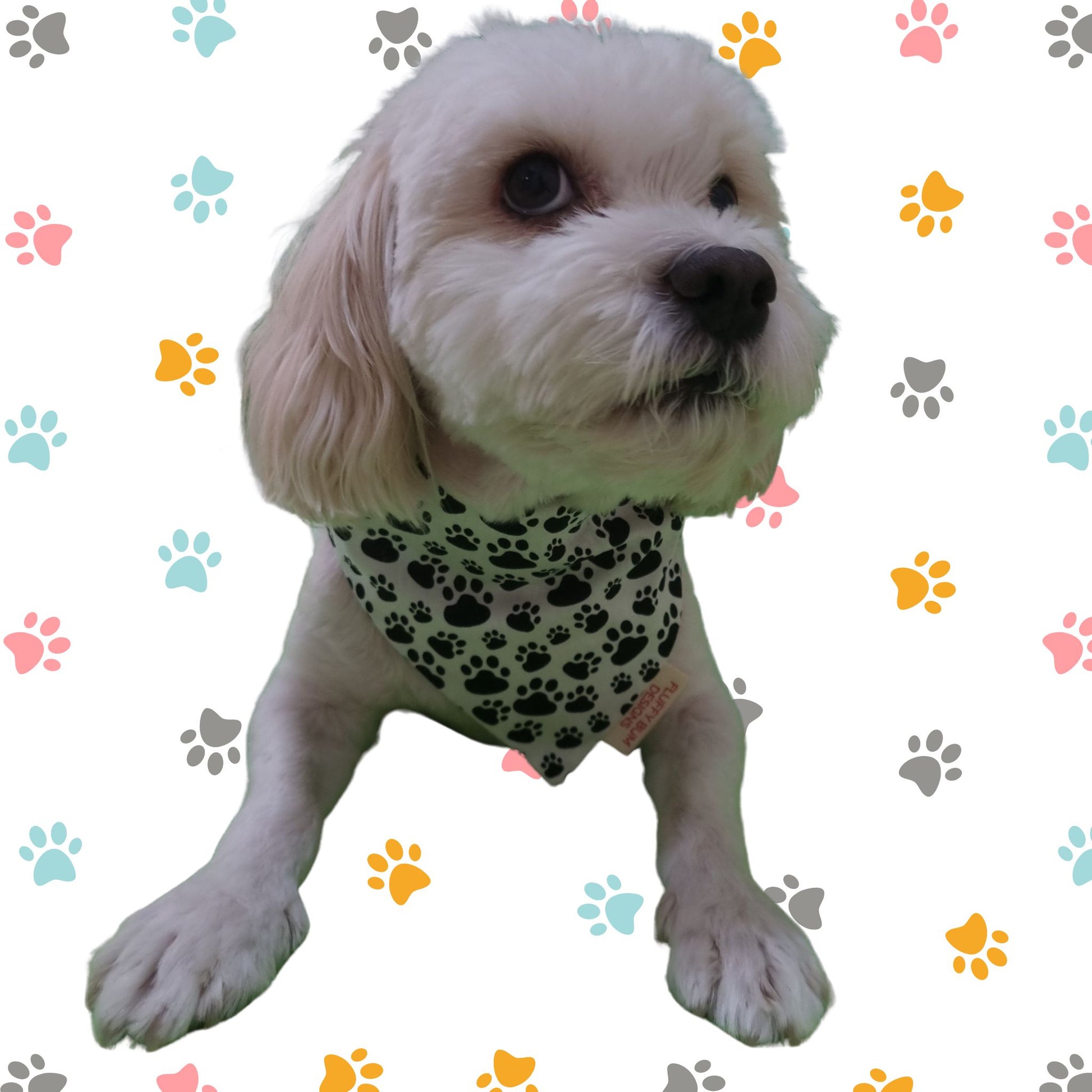 Dog wearing Black Paws on White Fabric Pet Bandana - Small