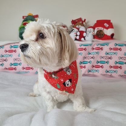 Small White dog wearing Christmas Themed Bandana