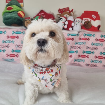 Small White dog wearing Christmas Themed Bandana