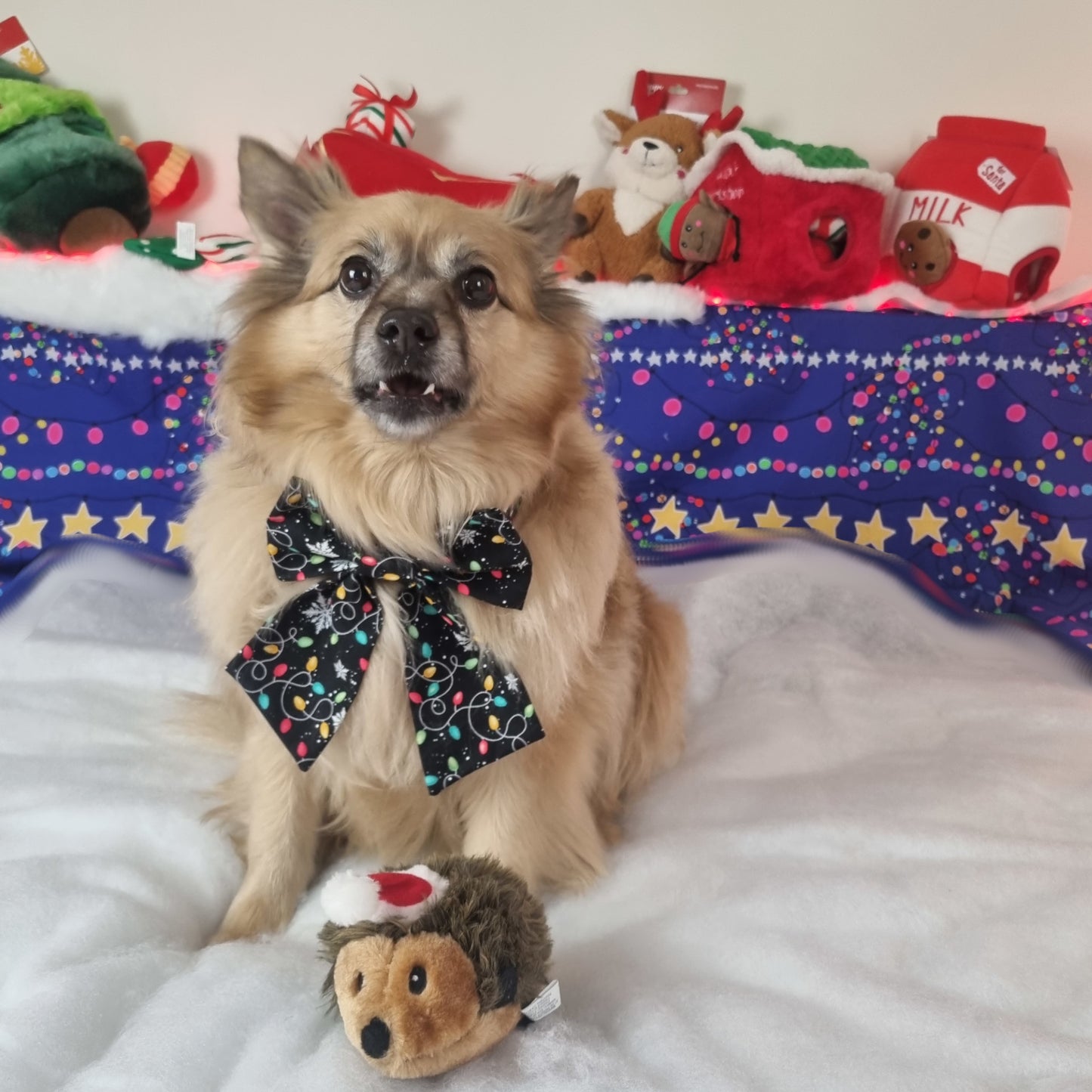 Dog wearing Christmas lights pattern sailor bowties