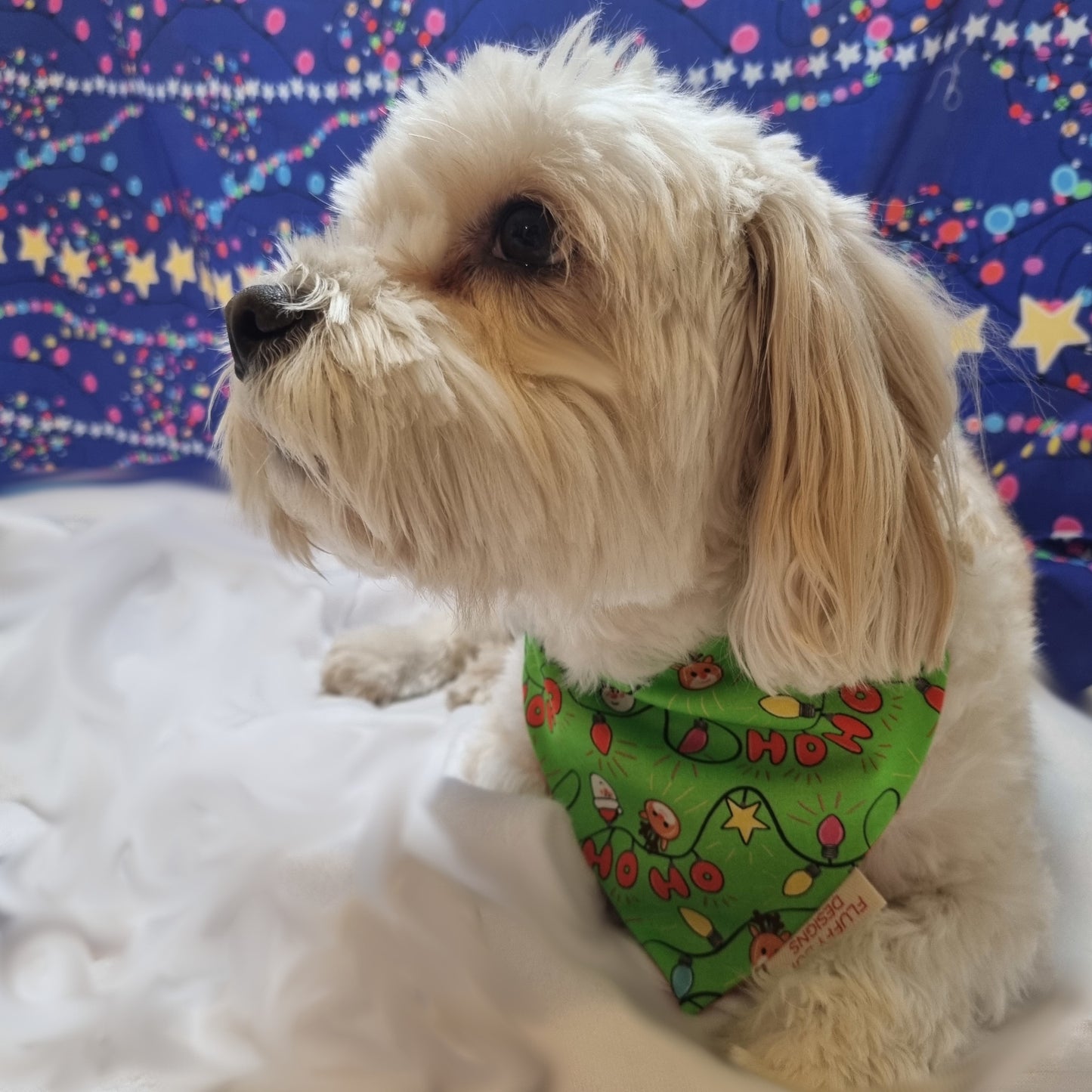 Pet Bandana |  Fluffy Christmas Cuties