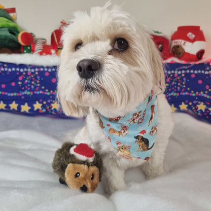 Small White dog wearing Christmas Themed Dogs Bandana