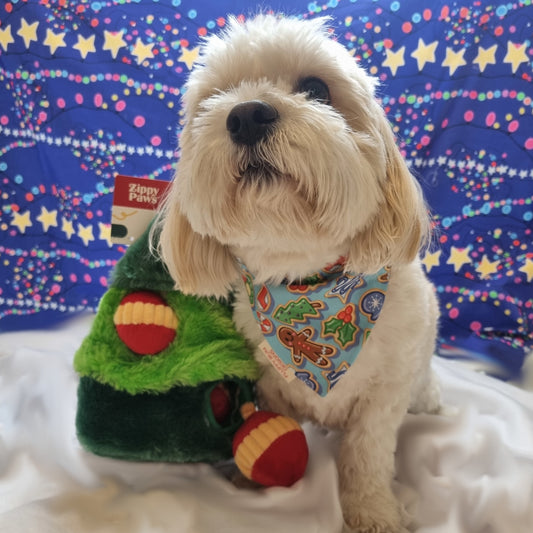 Small White dog wearing Christmas Cookies Themed Bandana