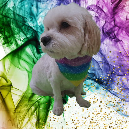 Dog wearing colourful Glitter pet bandana - Small