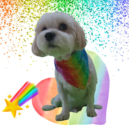 Dog Wearing rainbow colours and stars pet bandana - Small