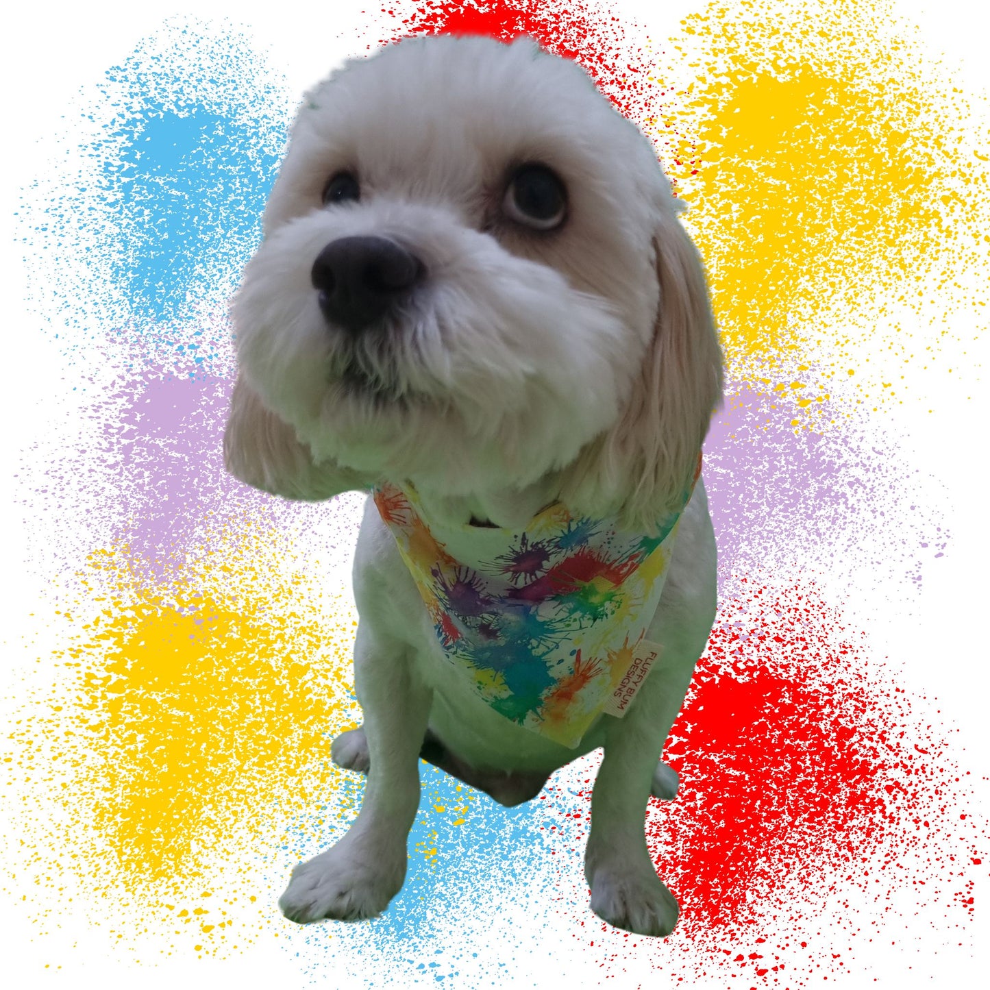 Dog wearing colourful paint splatters pet bandana - Small