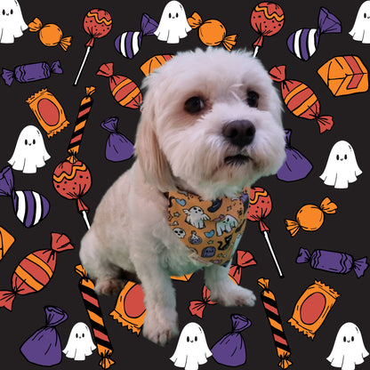 Dog wearing small cute and spooky Halloween pet bandana