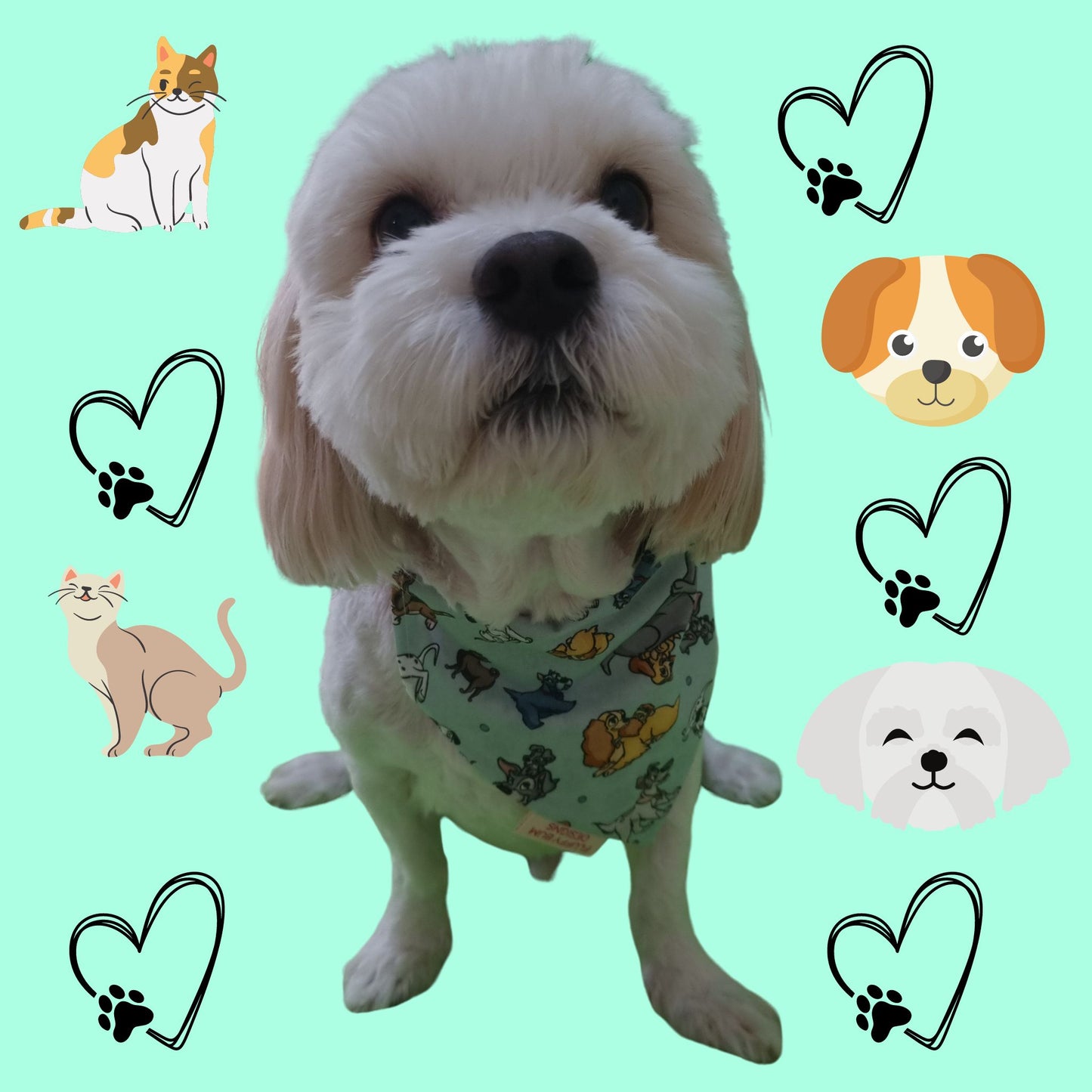 Dog wearing Disney Pets Bandana - Small